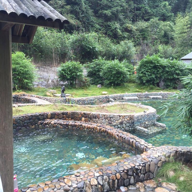 龙脉温泉竹林汤泉