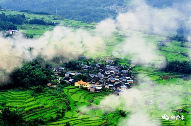 龙陵县最出名三样东西